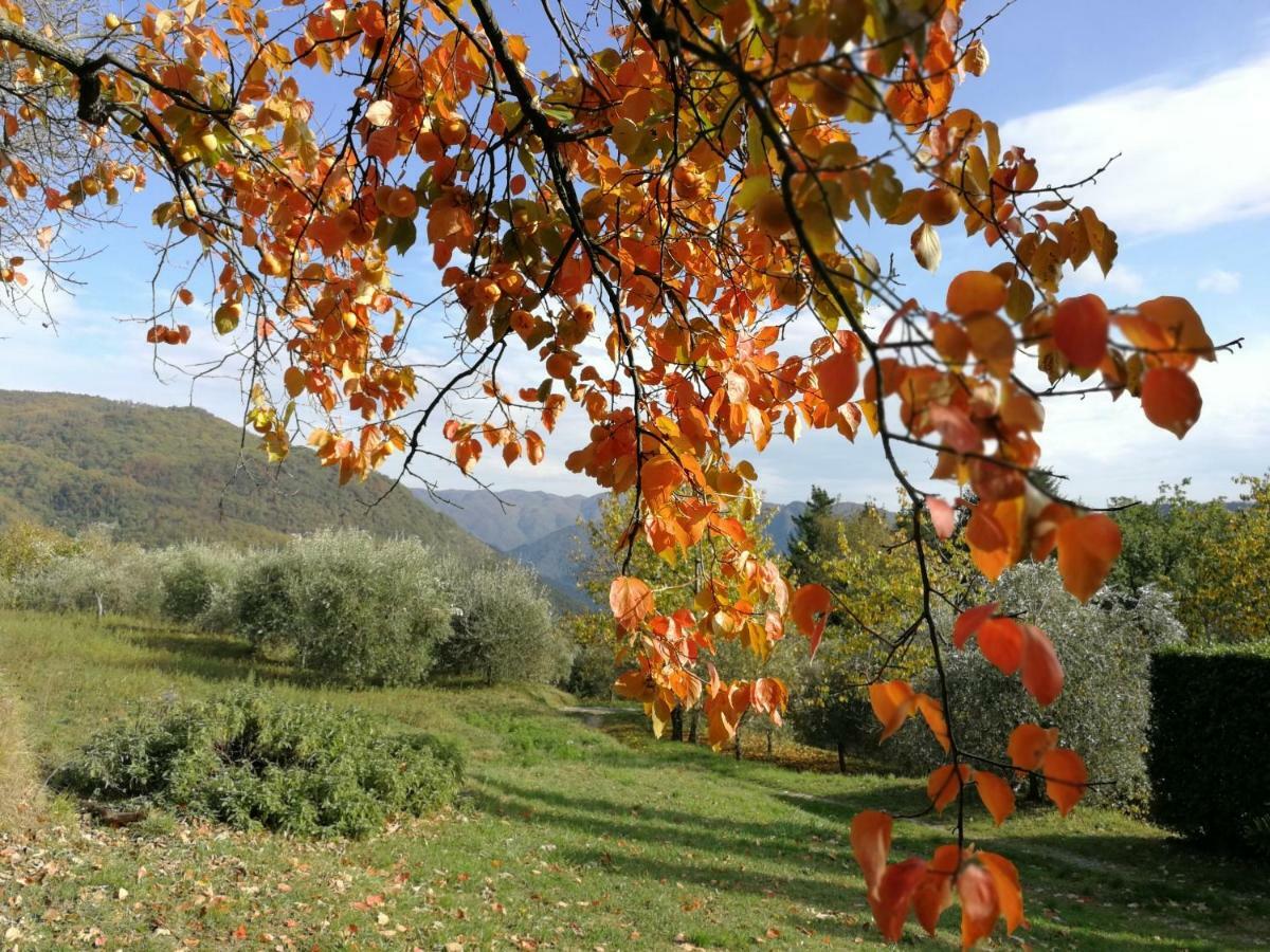 Villa casa marconi Vetriano Exterior foto
